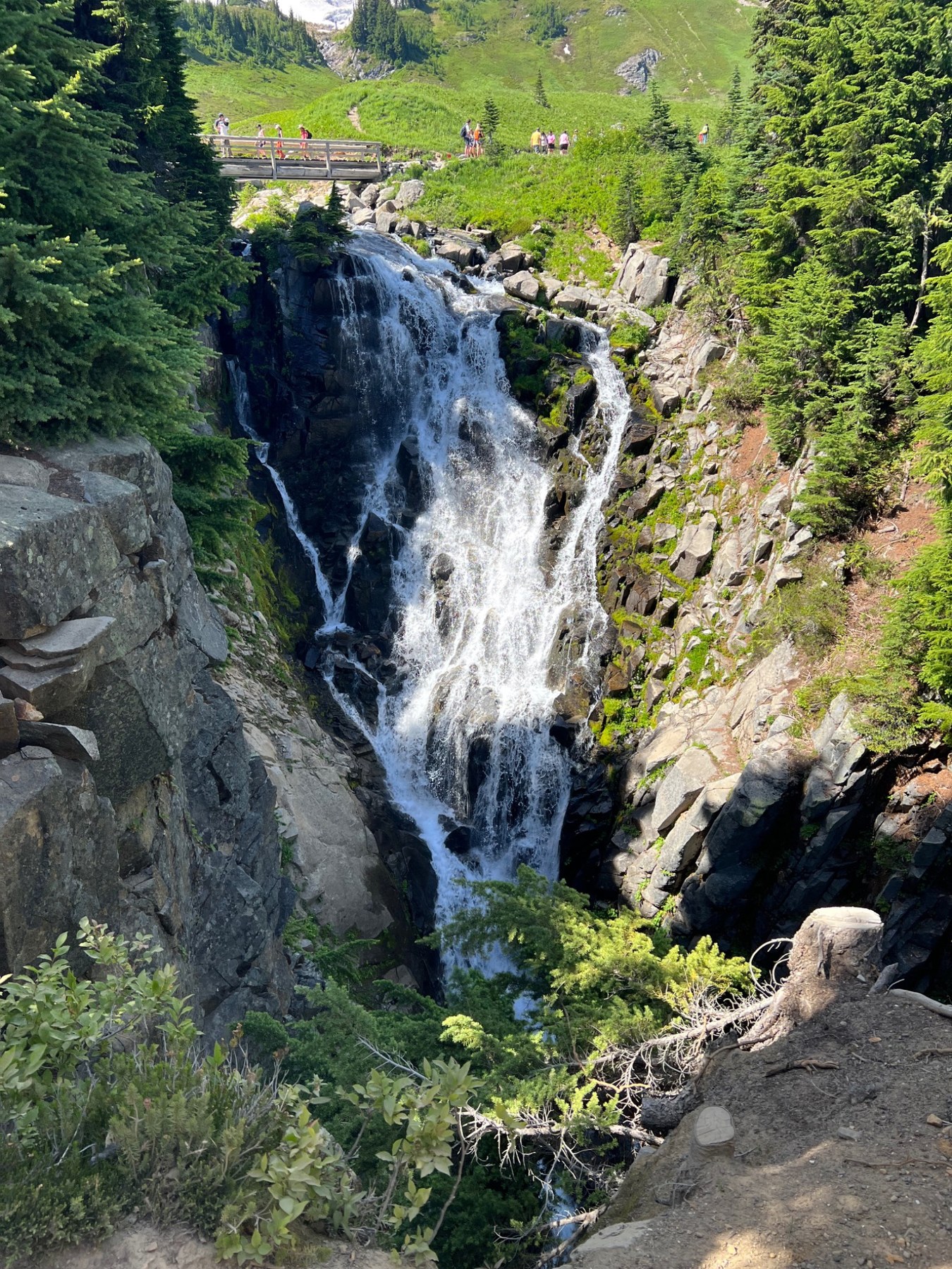 Waterfall in a green alpine setting